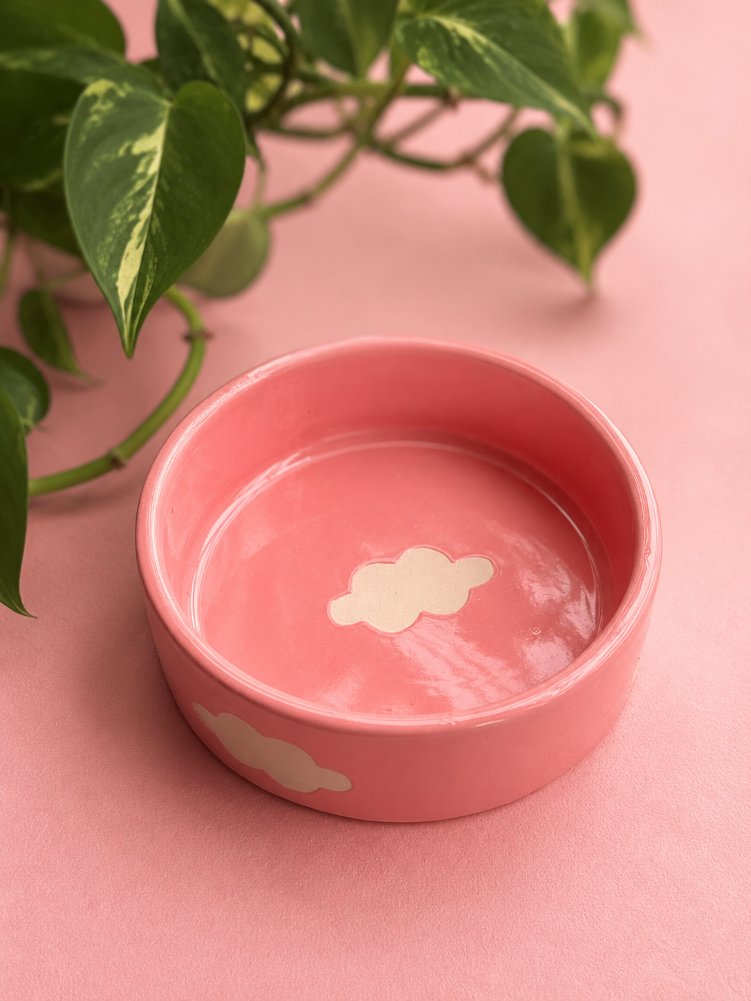 Pastel Pink Cloud Bowl